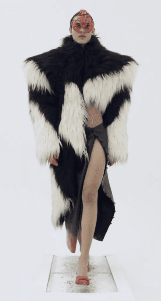 Collection image 14