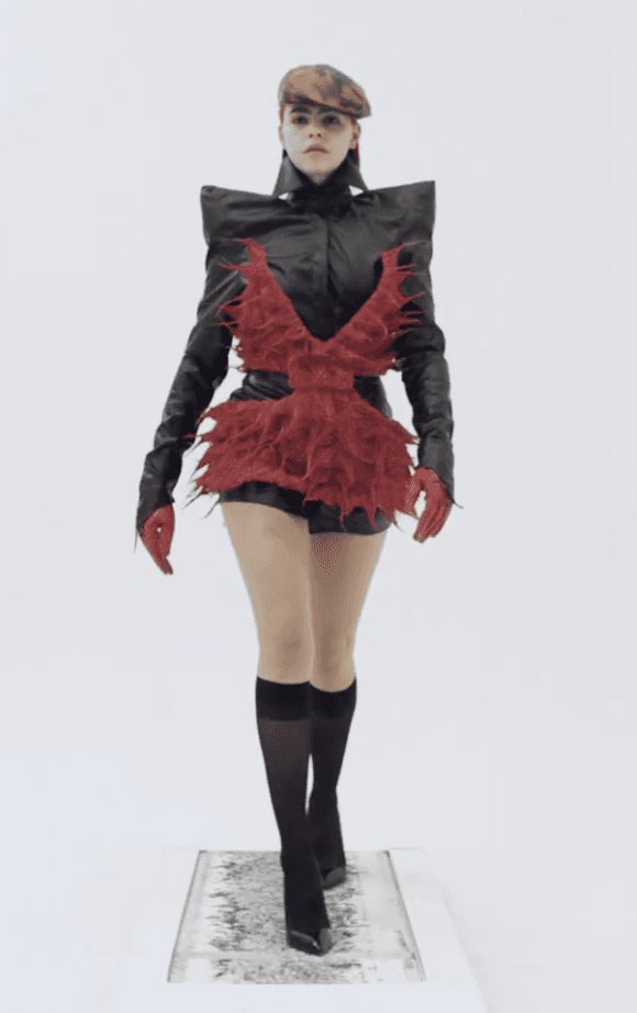 Collection image 15